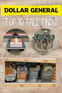 fall finds at dollar general pinterest image