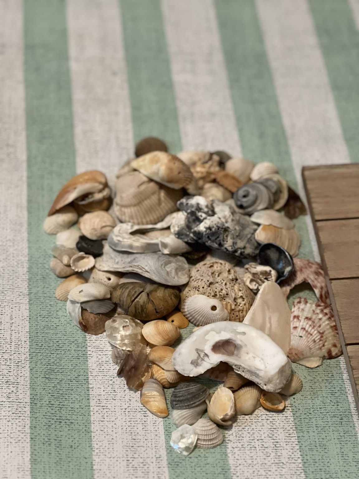 how to make flowers from seashells - Re-Fabbed