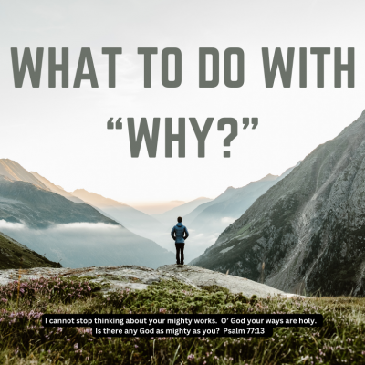 what to do with “why?”